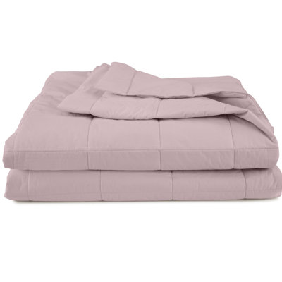 EcoPure Filled 100% Cotton Cover Solid Blanket