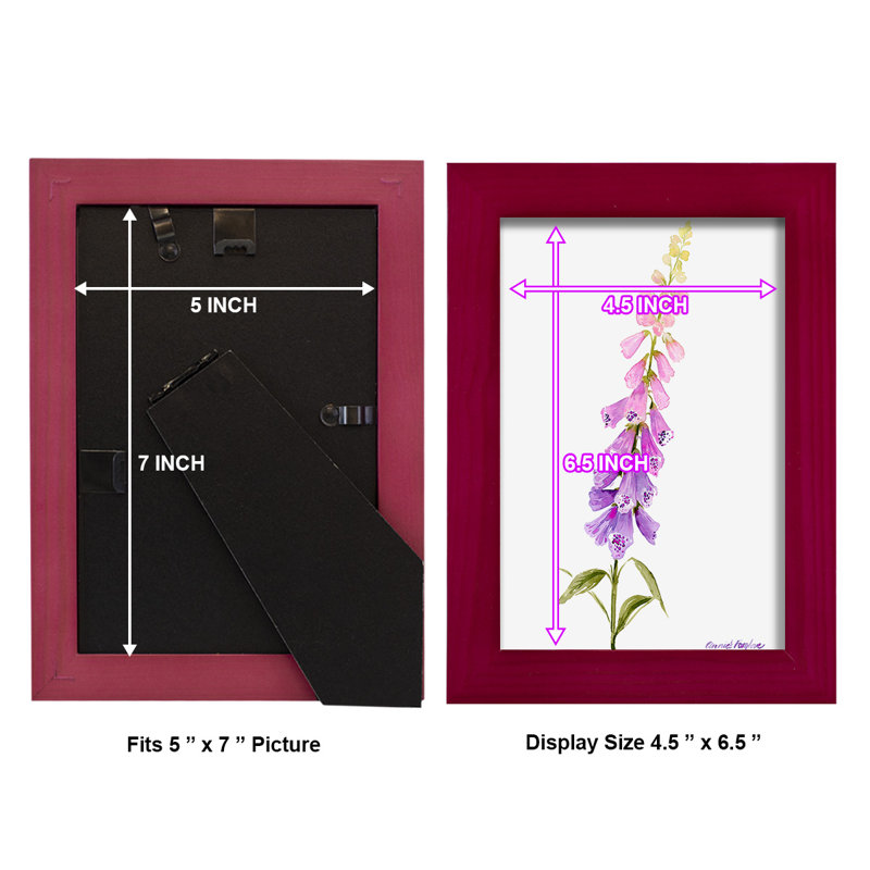 Toile encadrée de qualité supérieure Annie 's Foxglove I - prête à être accrochée, H 8 po x l 6 po x P 1 po