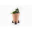 Aloysius Weather Resistant Planter Feet