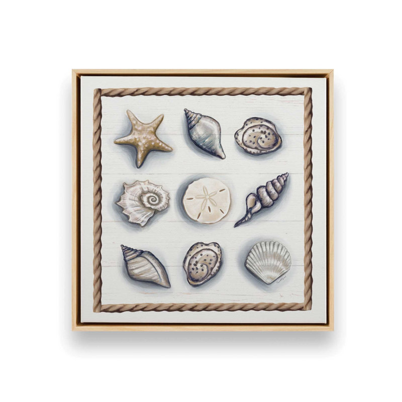 «Beach Shells II» par Elizabeth Tyndall, reproduction d'art, Toile avec cadre, L 20 po x H 20 po, Érable