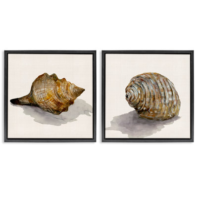  Neutral Beach Shells 2 PC Framed Floater Canvas Set by Jacob Q