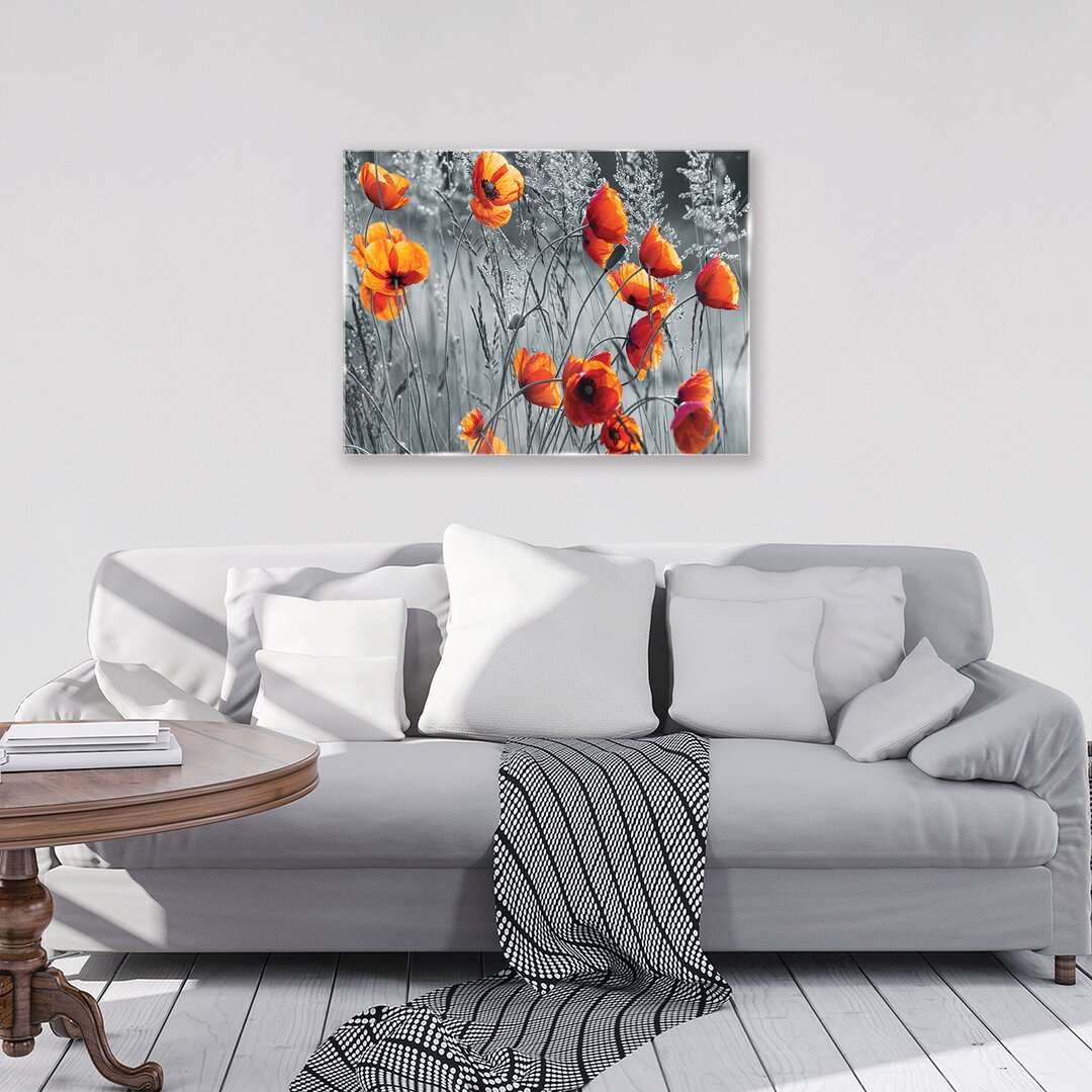 Glasbild Poppies