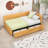 Twin Size Upholstered Daybed with Storage Drawers-339470406