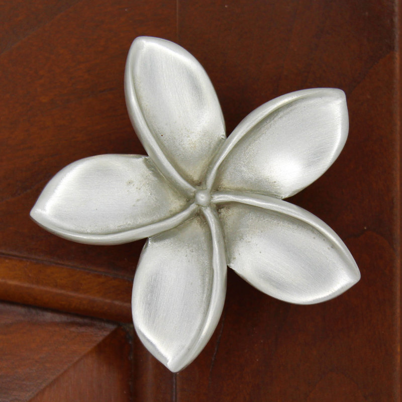 2" Plumeria Flower Medium Knob, Brushed Nickel, 1.75" L x 1.75" W, 2
