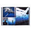 Boat Life Leather Bound Special Edition Coffee Table Book