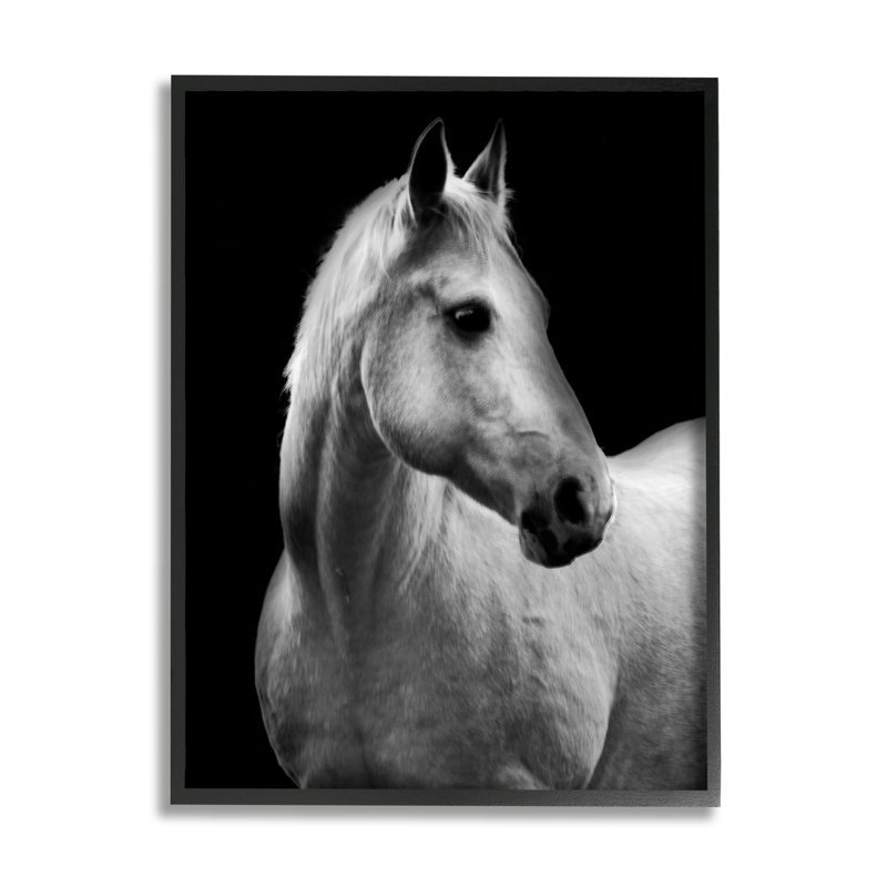 «Ba-312», cheval encadré sur bois noir par Danita Delimont, Giclée encadrée noir minuit, H 14 po x l 11 po x P 1,5 po