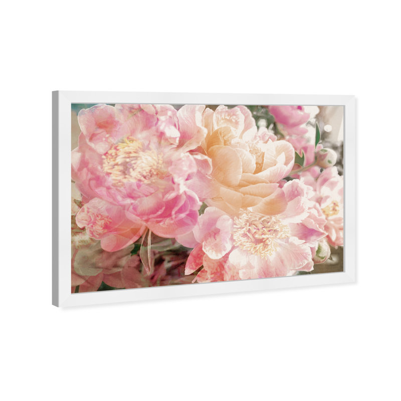 Fleurs roses, pivoines, impression sur papier, Cadre blanc, H 18 po x l 26 po