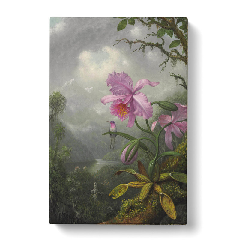 Hummingbird On The Orchid Plant by Martin Johnson Heade - Wrapped Canvas Painting, 76cm H x 50cm W x 3cm D