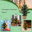 Lighted Artificial Christmas Tree