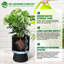 Jardinières droites en plastique 14 pièces avec pots de drainage 14 pouces 2 pièces pour plantes d'intérieur-2001549378