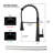 Red Cloud Pull Down Kitchen Faucet