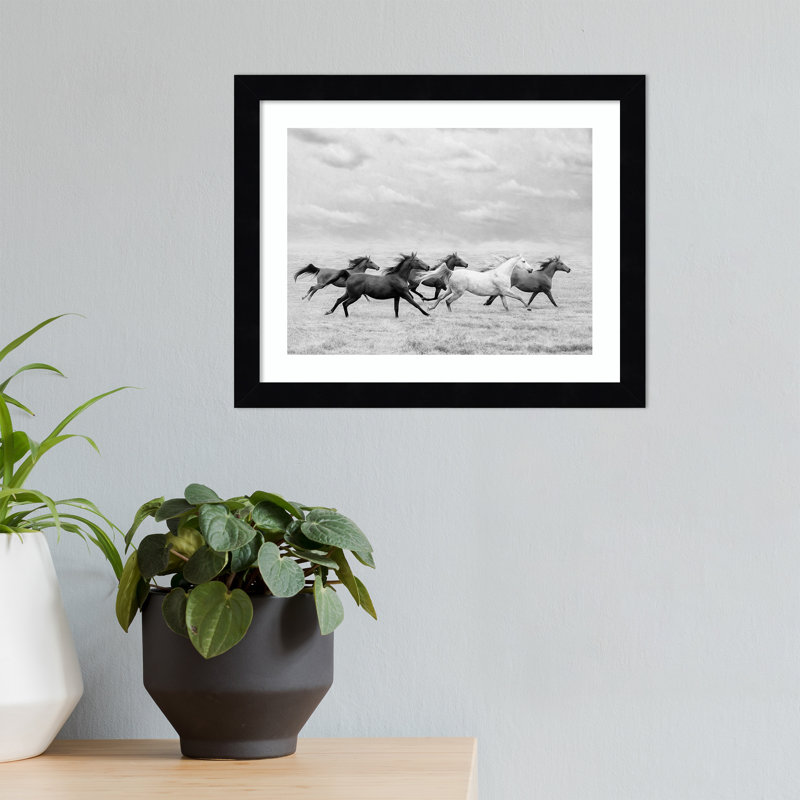 Horse Run I by PHBurchett, 11" H x 13" W, Black