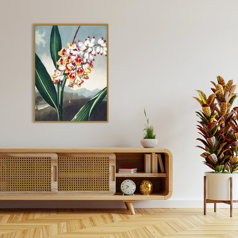 Temple of Flora VII par Dr. robert j. Impression sur toile encadrée Thornton, H 42 po x l 32 po