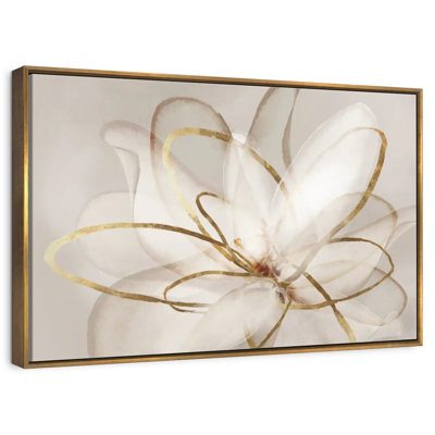 Transparent Beauty