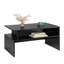 Harleyquinn Sled Coffee Table with Storage-1874931501