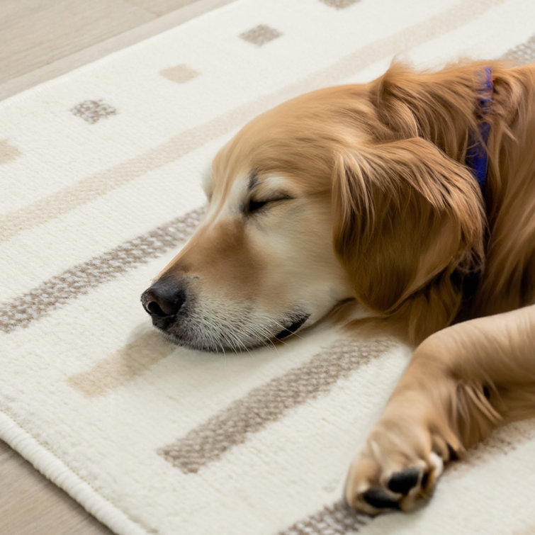 Fresno Cream Beige Neutral Curved Area Rug