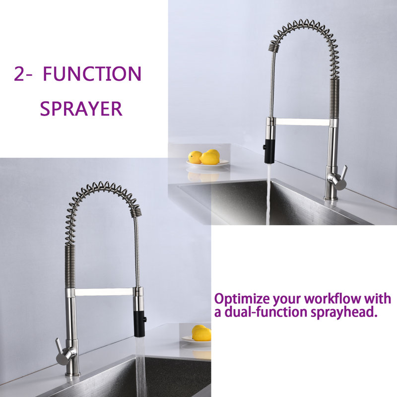 Robinet de cuisine à poignée simple pull down