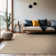 Soft Non-Slip Indoor Area Rug