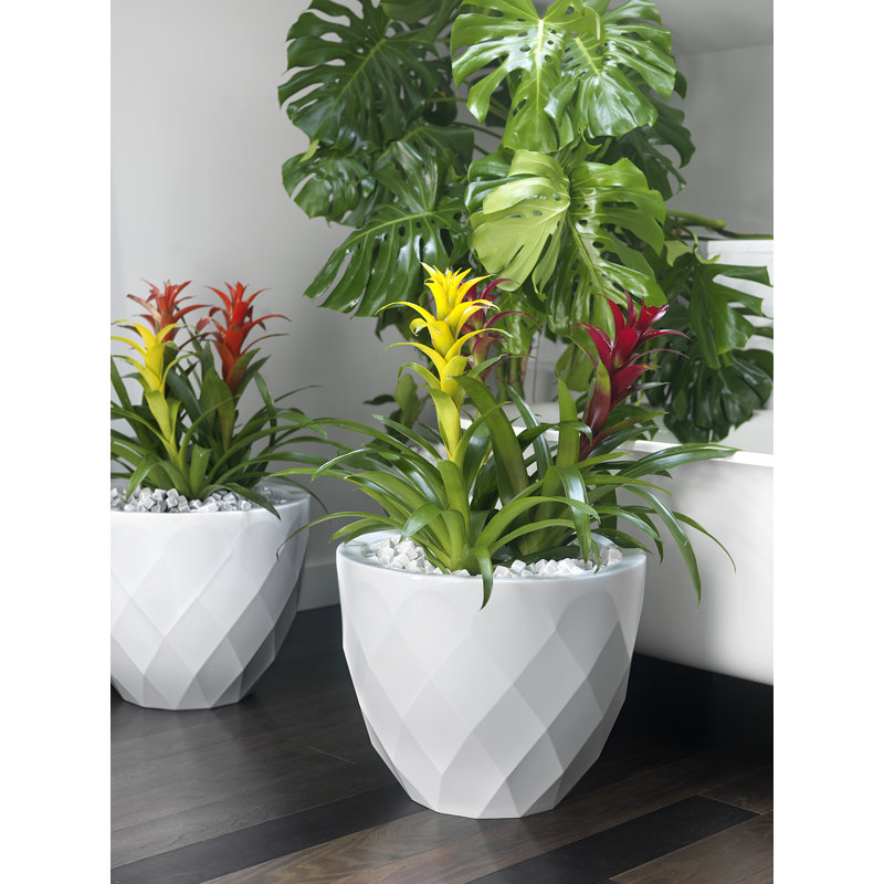 Vases Resin Pot Planter, 17.75" H x 21.75" W x 21.75" D