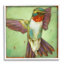 Colibri dans des tons doux par Stacy Daguiar-93961741-93961738