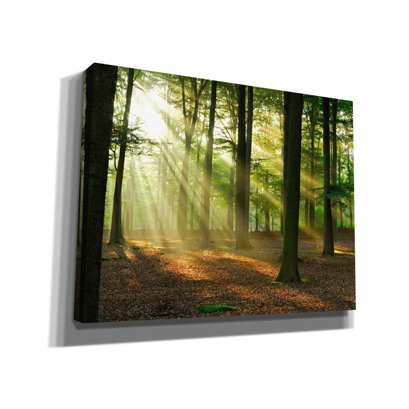 «Rays of Light», art mural sur toile, H 26 po x l 34 po x P 1,5 po