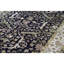 Chelsea Wool Oriental Area Rug
