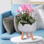 Plaited Style Bowl Planter with Feet-916595665-916595666