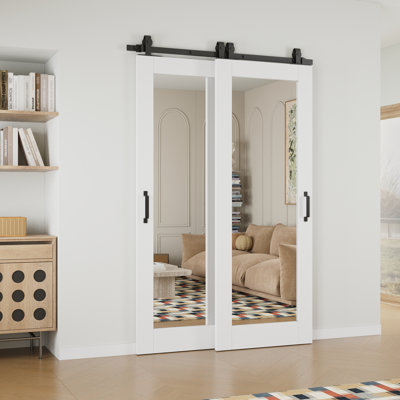 Porte de grange coulissante 80 po 1-Lite