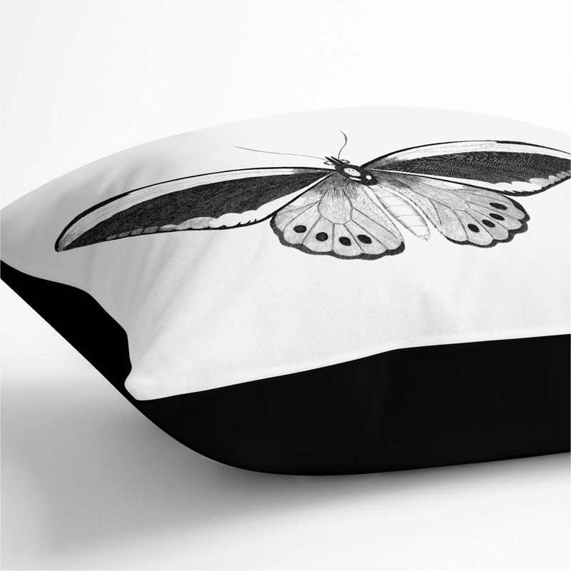 Square Throw Cushion, 55cm H x 55cm W x 20cm D, Black