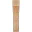 Attelle impériale du genou-31229277-31229280-29309855