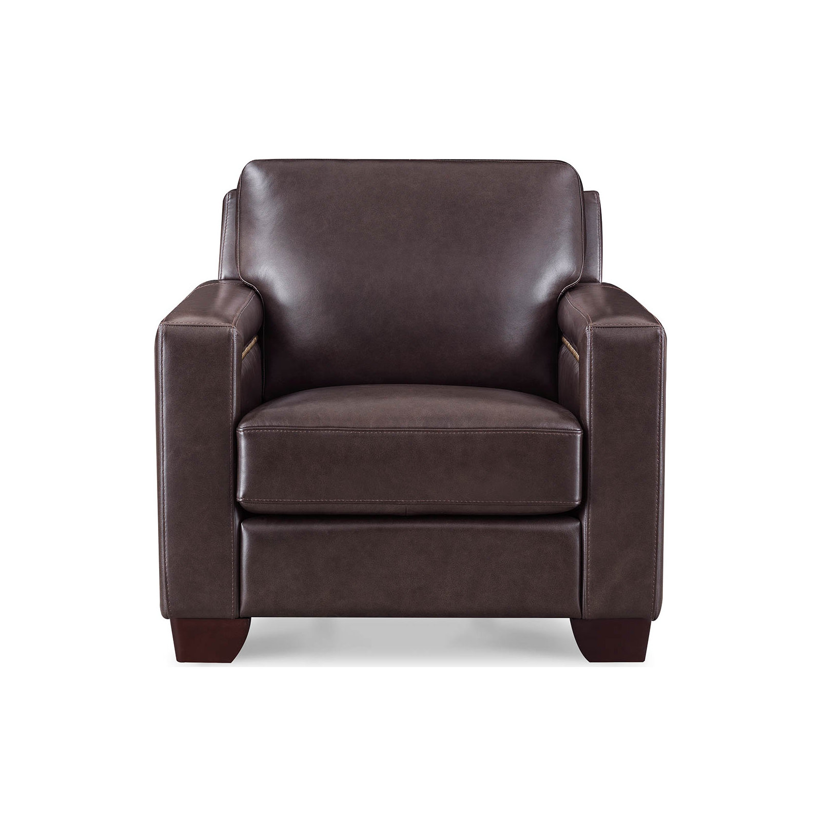 Tryston Top Grain Leather Chair