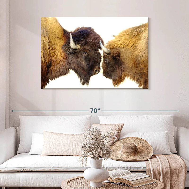 Bramison Bisons I, H 30 po x l 45 po