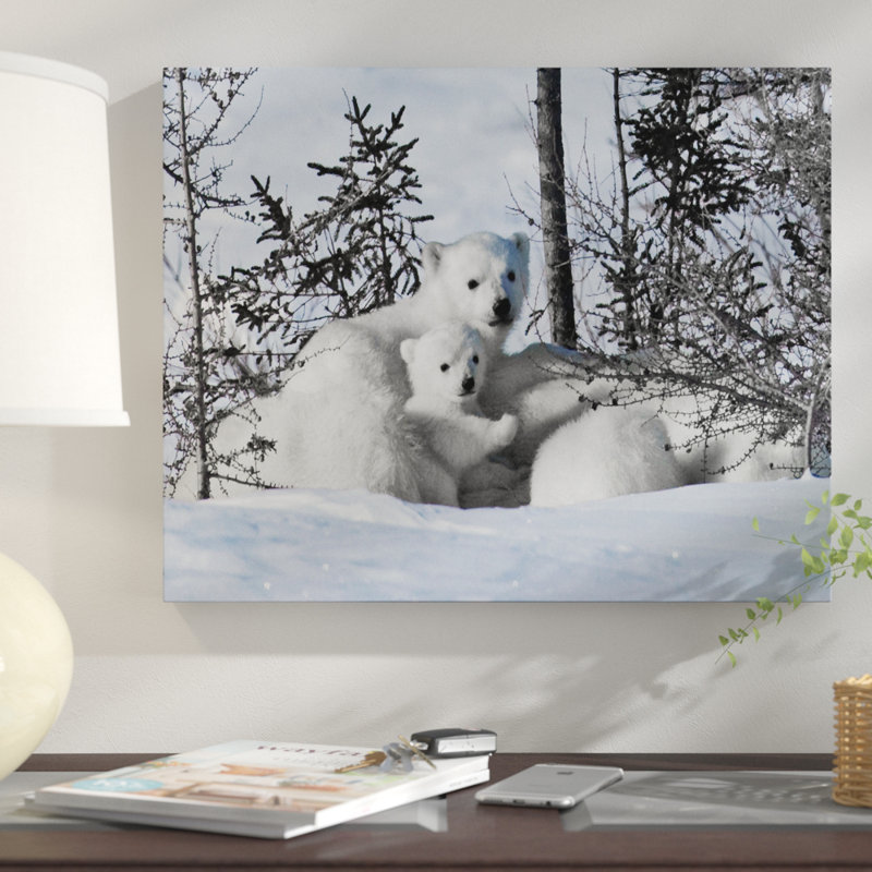« winter oursons », reproduction de photo sur toile tendue, H 20 po x l 24 po x P 1,5 po, Cadre doré