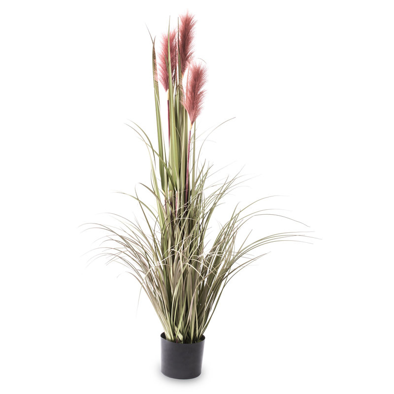 Faux Evergreen Grass in Pot, Green/Pink, 122cm H x 80cm W x 80cm D