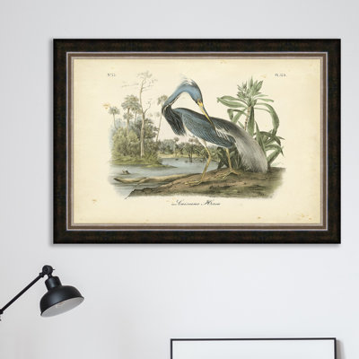 " Audubon "