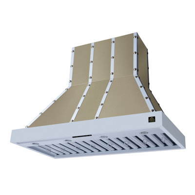 Ambassador 48" Range Hood in White