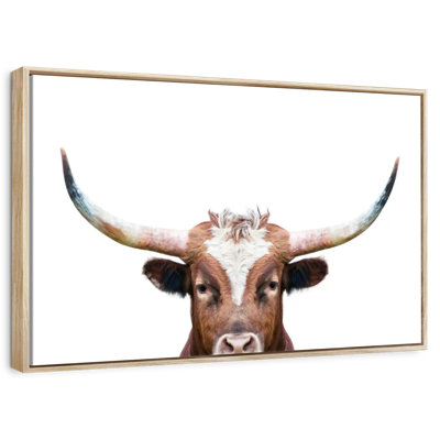 Peeking Long Horn