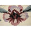 Tapis chinois rouge Dhurrie 8X10
