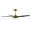 Ventilateur de plafond intelligent intérieur / extérieur de 56 pouces Journey, ensemble d'éclairage à DEL à intensité variable et télécommande, fonctionne avec l'assistant Google, Amazon Alexa et les raccourcis Siri.-400815761-400815762-400815767