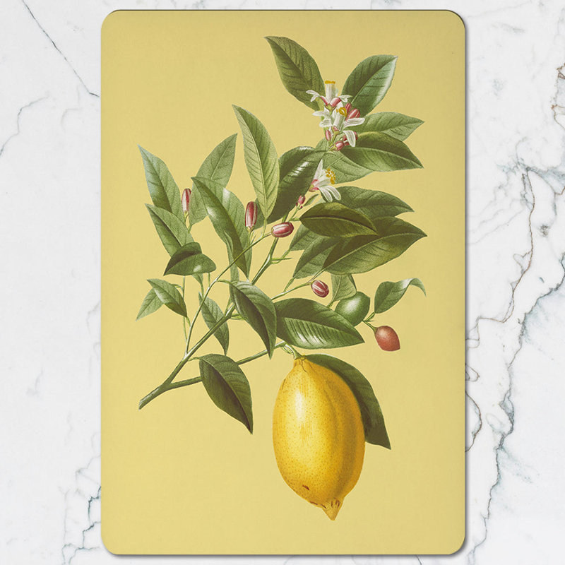 Lemon Branch Placemat Coaster Set With Wood Bottom High End Print Artwork Limited Edition
