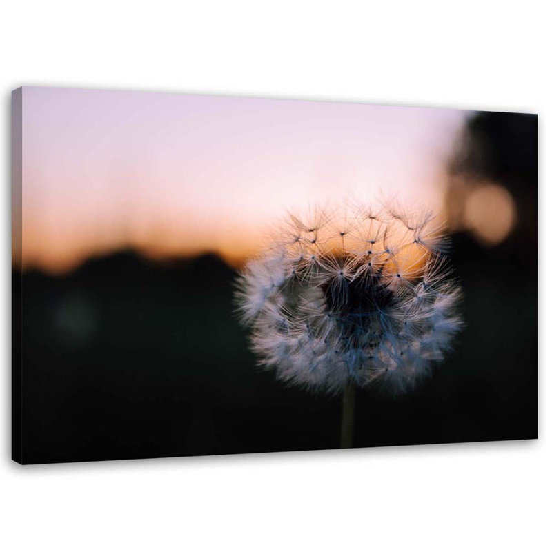 No Frame Print on Canvas, 40cm H x 60cm W