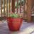 Beehive Pot Planter-91225320