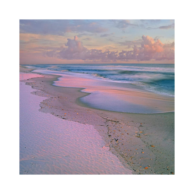 Beach At Sunrise, Gulf Islands National Seashore, Florida by Tim Fitzharris - Wrapped Canvas Print