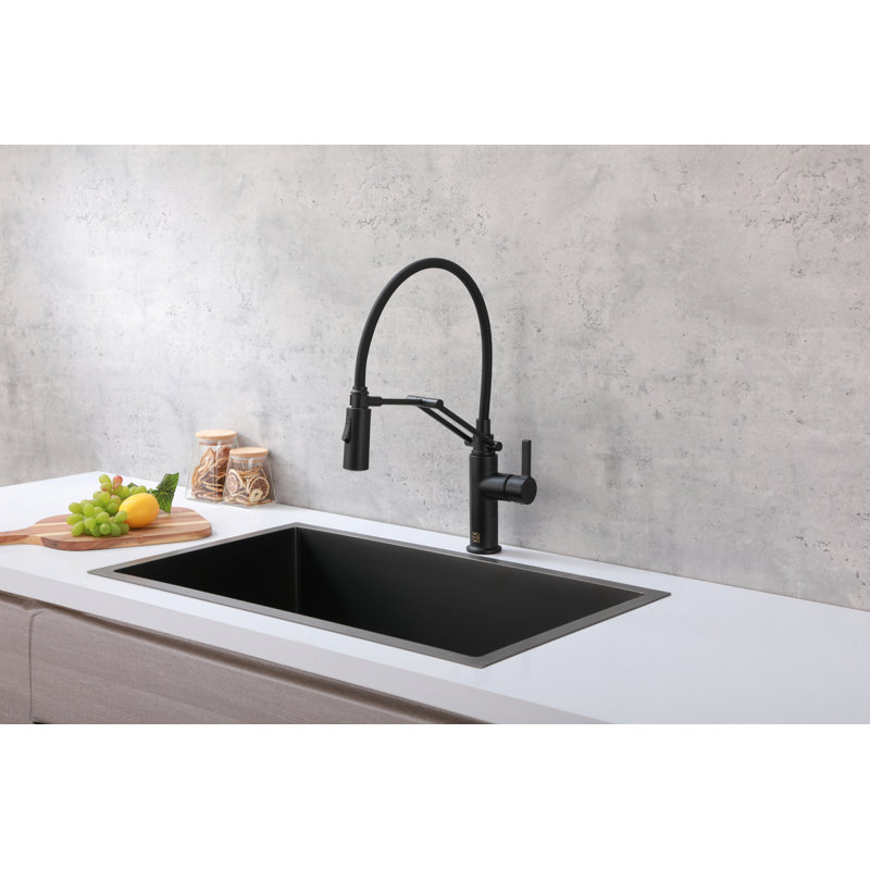 Elegant Home Living Leonardo Pull Down Spray Kitchen Faucet, Matte Black