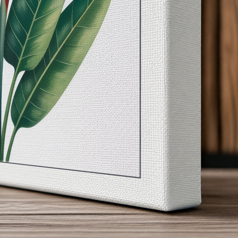 Print, 36x24 - 91.4 x 61.0 cm, White Border