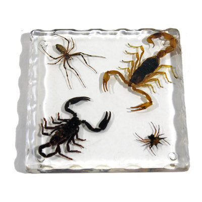 Silicone Square 1 Piece Coaster