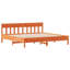 Storage Bed-1199232432-1199232435