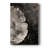 ABSTRACT Series CCXLIV  -Premium Gallery Wrapped Canvas -Ready to Hang-885922855