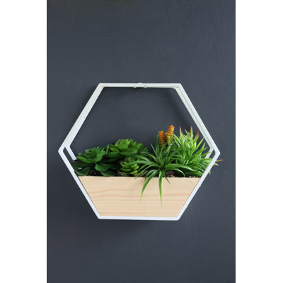 30.5Cm Artificial Succulent in White Hexagonal Planter