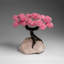 Custom - Genuine Rose Quartz Clustered Gemstone Tree On Rose Quartz Matrix (Unconditional Love Tree)